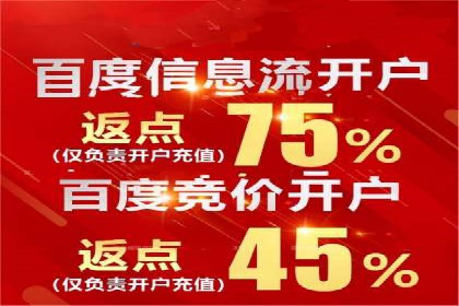 百度竞价排名服务：实战案例解析与优化技巧